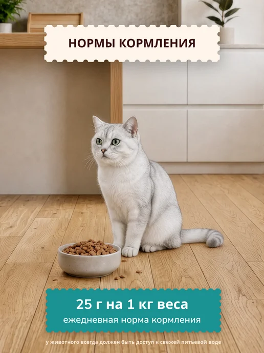 NOW'KITCHEN Влажный корм для стерилизованных кошек треска 6шт по 100г, 6 шт, 100 г, фото 7